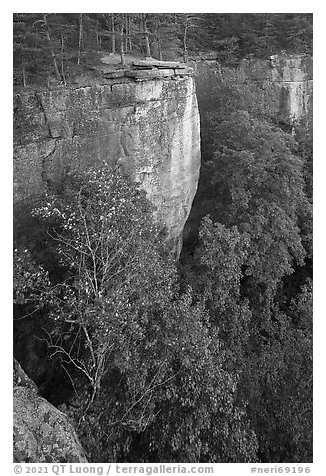 Cliffs from Diamond Point. New River Gorge National Park and Preserve (black and white)