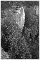 Cliffs from Diamond Point. New River Gorge National Park and Preserve ( black and white)