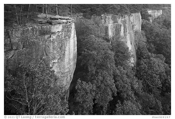 Endless Walls Cliffs from Diamond Point. New River Gorge National Park and Preserve (black and white)