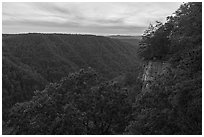 Diamond Point at sunset. New River Gorge National Park and Preserve ( black and white)