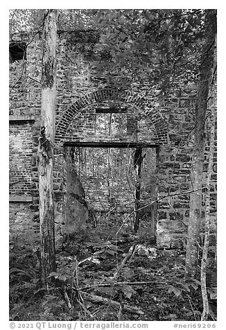 Powerhouse reclaimed by vegetation, Kaymoor Mine Site. New River Gorge National Park and Preserve (black and white)