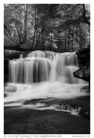Dunloup Creek Falls. New River Gorge National Park and Preserve (black and white)