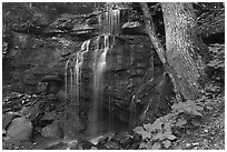 Kates Falls. New River Gorge National Park and Preserve ( black and white)