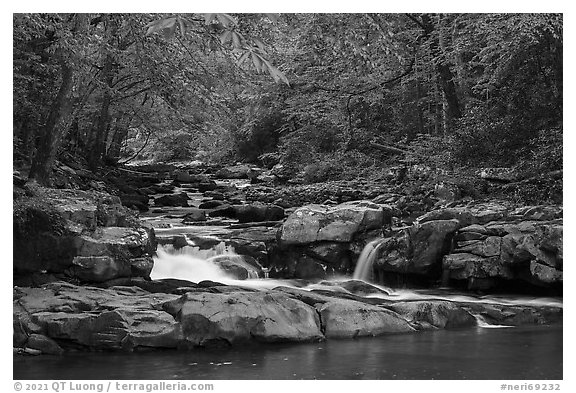 Glade Creek cascades. New River Gorge National Park and Preserve (black and white)