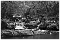 Glade Creek cascades. New River Gorge National Park and Preserve ( black and white)