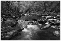 Glade Creek stream. New River Gorge National Park and Preserve ( black and white)