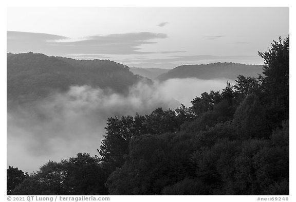 Low fog in river gorge from Long Point at dawn. New River Gorge National Park and Preserve (black and white)