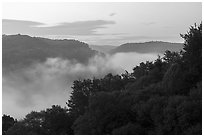 Low fog in river gorge from Long Point at dawn. New River Gorge National Park and Preserve ( black and white)