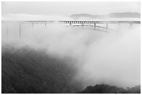 New River Gorge Bridge rising from low fog at dawn. New River Gorge National Park and Preserve ( black and white)