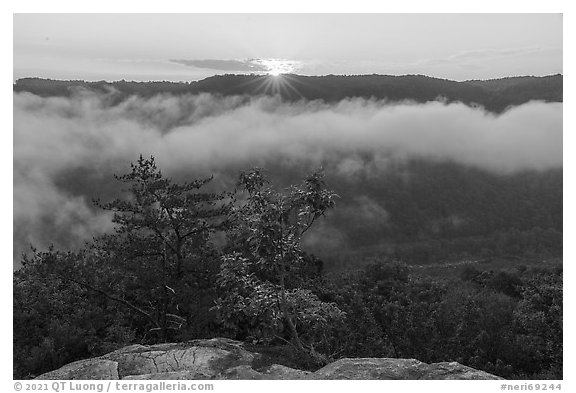 Sunrise with low clouds from Long Point. New River Gorge National Park and Preserve (black and white)