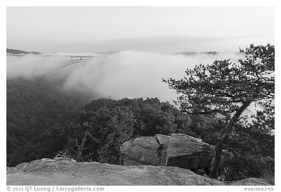 New River Gorge Bridge and fog from Long Point. New River Gorge National Park and Preserve (black and white)