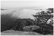 New River Gorge Bridge and fog from Long Point. New River Gorge National Park and Preserve ( black and white)