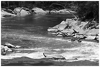 Raft in New River Gorge rapids. New River Gorge National Park and Preserve ( black and white)