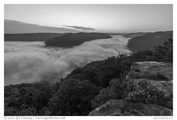 Fog-filled gorge from Grandview Overlook at dawn. New River Gorge National Park and Preserve (black and white)