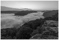 Fog-filled gorge from Grandview Overlook at dawn. New River Gorge National Park and Preserve ( black and white)