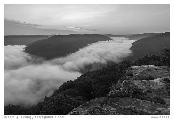 Fog-filled gorge from Grandview Overlook at sunrise. New River Gorge National Park and Preserve (black and white)