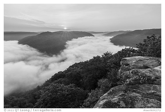 Sunrise over fog-filled gorge from Grandview Overlook. New River Gorge National Park and Preserve (black and white)