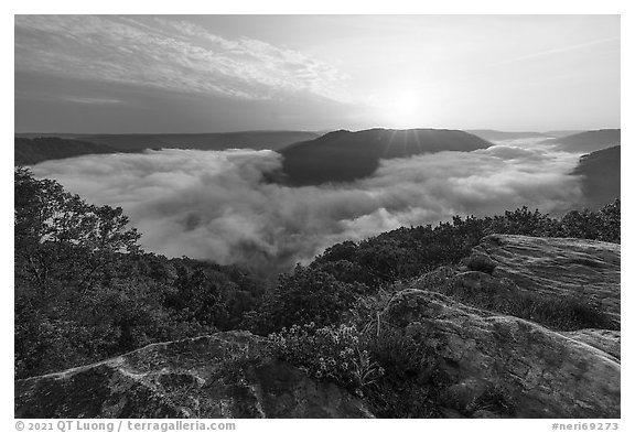 Sun rising over fog-filled gorge bend from Grandview Overlook. New River Gorge National Park and Preserve (black and white)