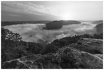 Sun rising over fog-filled gorge bend from Grandview Overlook. New River Gorge National Park and Preserve ( black and white)