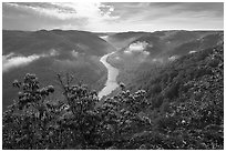 View over gorge with flowers from Grandview North Overlook. New River Gorge National Park and Preserve ( black and white)