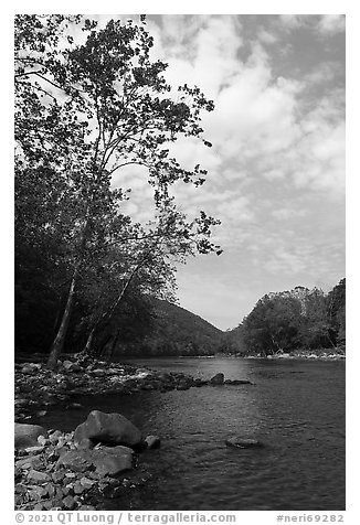 New River from Grandview Sandbar. New River Gorge National Park and Preserve (black and white)