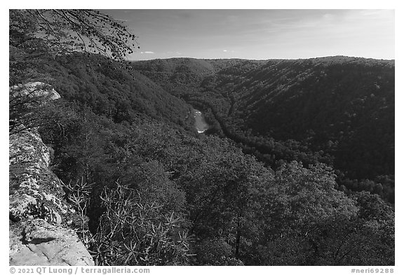 River Gorge from Beauty Mountain. New River Gorge National Park and Preserve (black and white)