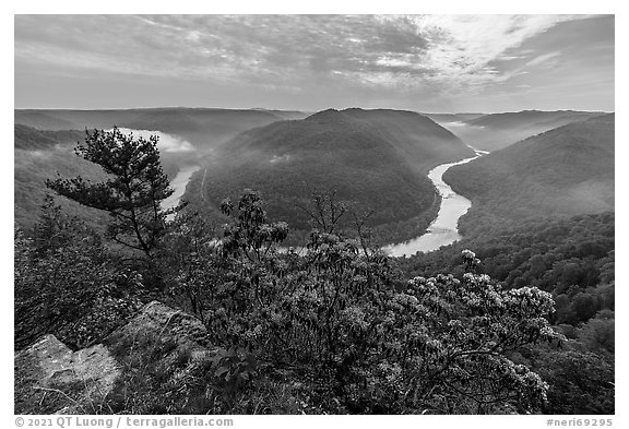 Horseshoe bend of gorge with flowers and mist from Grandview North Overlook. New River Gorge National Park and Preserve (black and white)