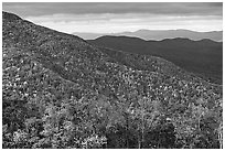 Hillsides in autumn. Shenandoah National Park, Virginia, USA. (black and white)