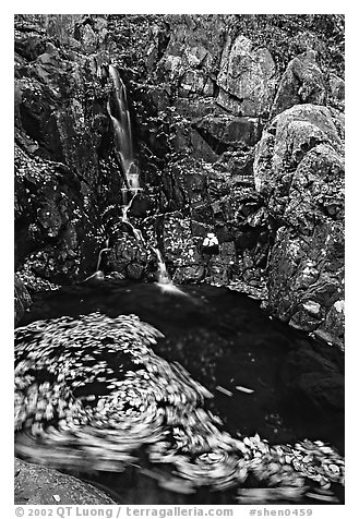 Spining leaves and cascade. Shenandoah National Park (black and white)