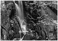 Cascade over dark rock with with fallen leaves. Shenandoah National Park, Virginia, USA. (black and white)