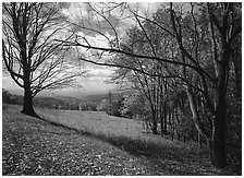 Meadow Overlook in fall. Shenandoah National Park ( black and white)