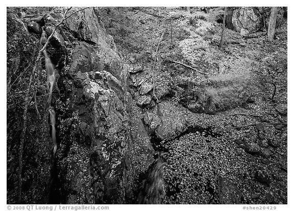 Waterfall and cliff from above. Shenandoah National Park (black and white)