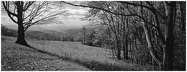 Clearing with trees in autumn colors and distant ridges. Shenandoah National Park (Panoramic black and white)