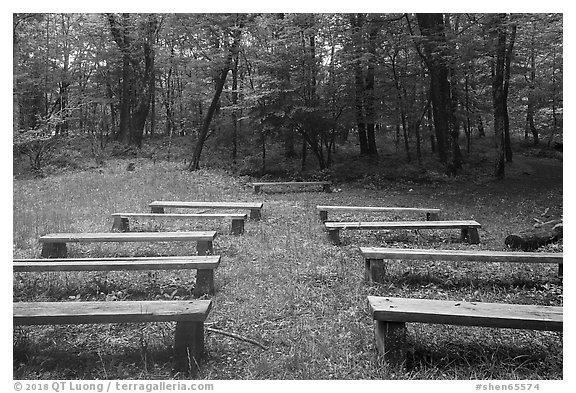 Amphitheater, Matthews Arm Campground. Shenandoah National Park (black and white)