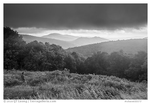 Visitor looking, Thornton Hollow Overlook. Shenandoah National Park (black and white)