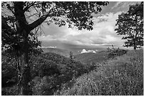 Trees framing clearing storm, Duck Hollow Overlook. Shenandoah National Park ( black and white)