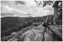 Rocky outcrop, Hazel Mountain Overlook. Shenandoah National Park ( black and white)
