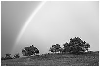 Rainbow and trees in full leaves, Big Meadows. Shenandoah National Park ( black and white)