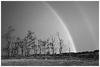 Double rainbow and trees, Big Meadows. Shenandoah National Park ( black and white)