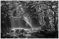 Ephemeral waterfall in Whiteoak Canyon. Shenandoah National Park ( black and white)
