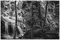 Middle Whiteoak falls. Shenandoah National Park ( black and white)