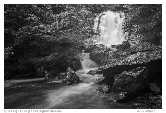 Whiteoak falls. Shenandoah National Park (black and white)
