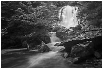 Whiteoak falls. Shenandoah National Park ( black and white)