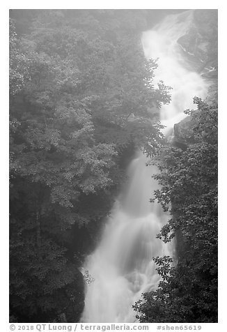 Upper Whiteoak falls in mist. Shenandoah National Park (black and white)