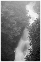 Upper Whiteoak falls in mist. Shenandoah National Park ( black and white)
