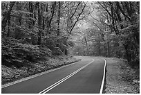 Skyline drive in springtime. Shenandoah National Park ( black and white)