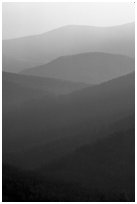 Receding ridges seen from Little Stony Man, sunrise. Shenandoah National Park ( black and white)