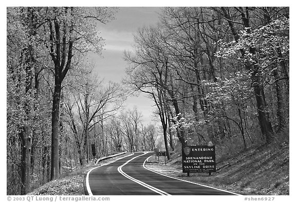 Skyline drive with Park entrance sign. Shenandoah National Park (black and white)