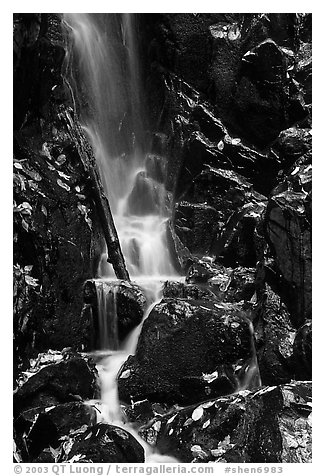 Cascade with fallen leaves. Shenandoah National Park (black and white)