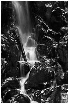 Cascade with fallen leaves. Shenandoah National Park ( black and white)
